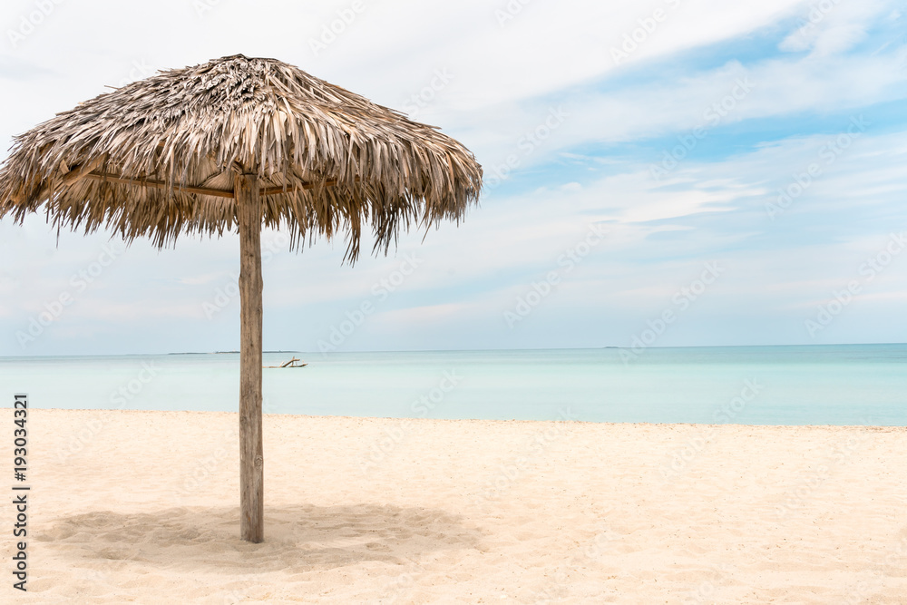 foreground - Palm tree umbrella & background tropical sky &