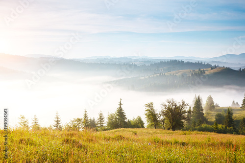 Great view of the alpine valley. Location place Carpathian, Ukraine, Europe.