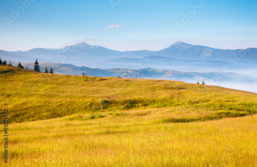 Great view of the alpine valley. Location place Carpathian  Ukraine  Europe.