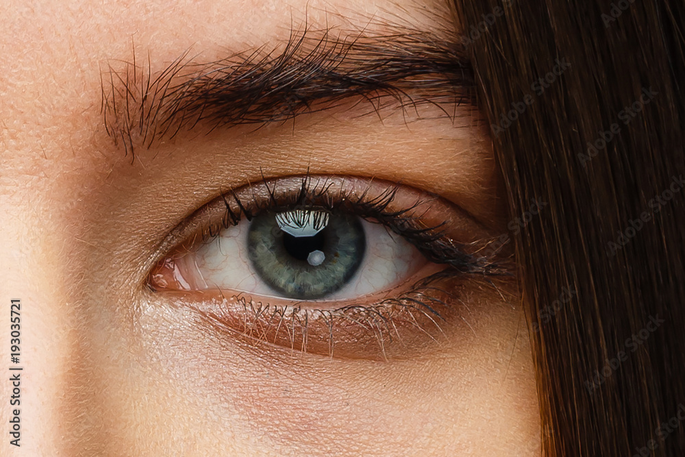 Obraz premium Close up shot of female eye make up in classic style