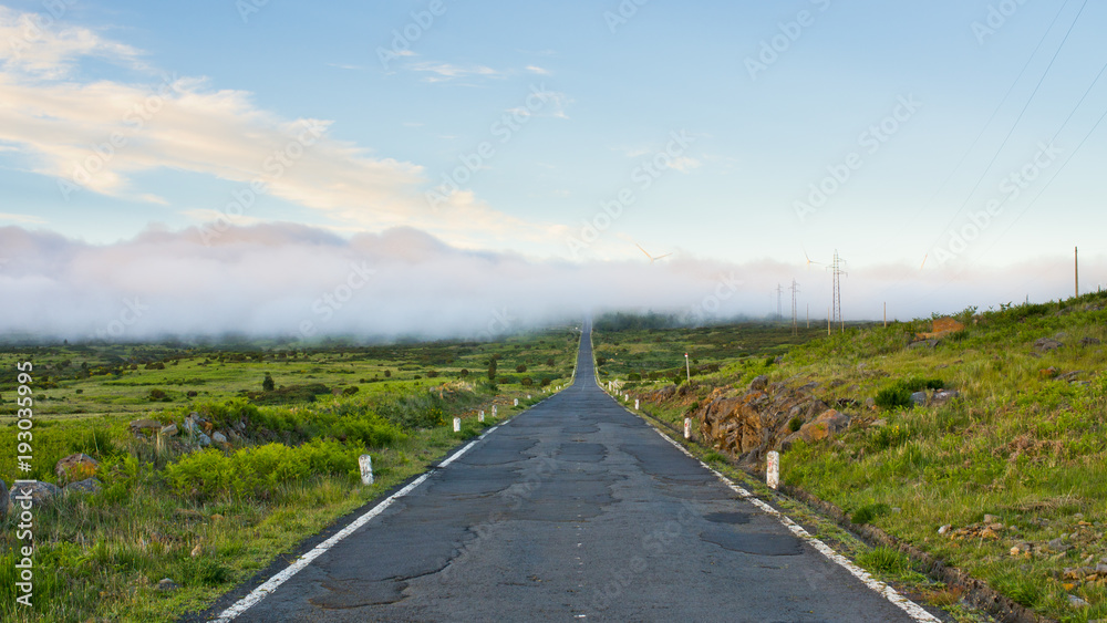 Road on Paul da Serra plateau, Madeira, Portugal