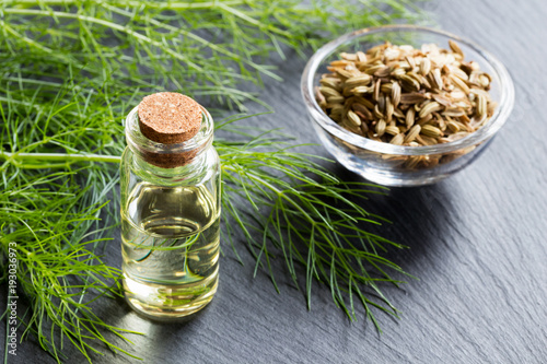 A bottle of fennel essential oil with fresh fennel twigs and seeds