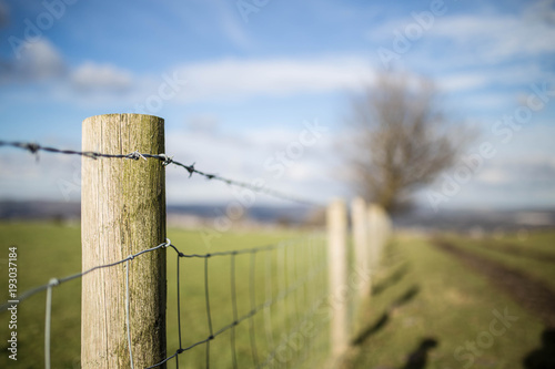 Barb Wire Fence Green