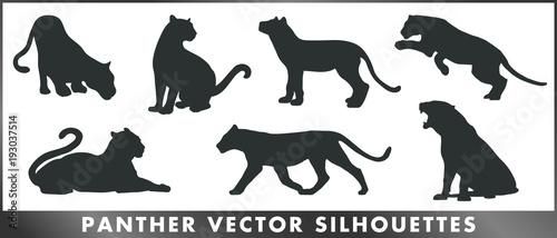 Panther vector silhouettes photo