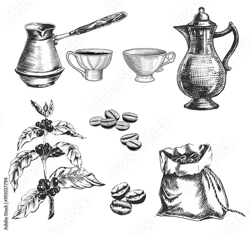 Coffee set with coffee cup, coffeepot and plant with berries and coffee beans.