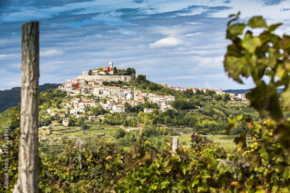 Fototapeta premium Kroatien, Istrien, Blick durch die Weinberge nach Motovun