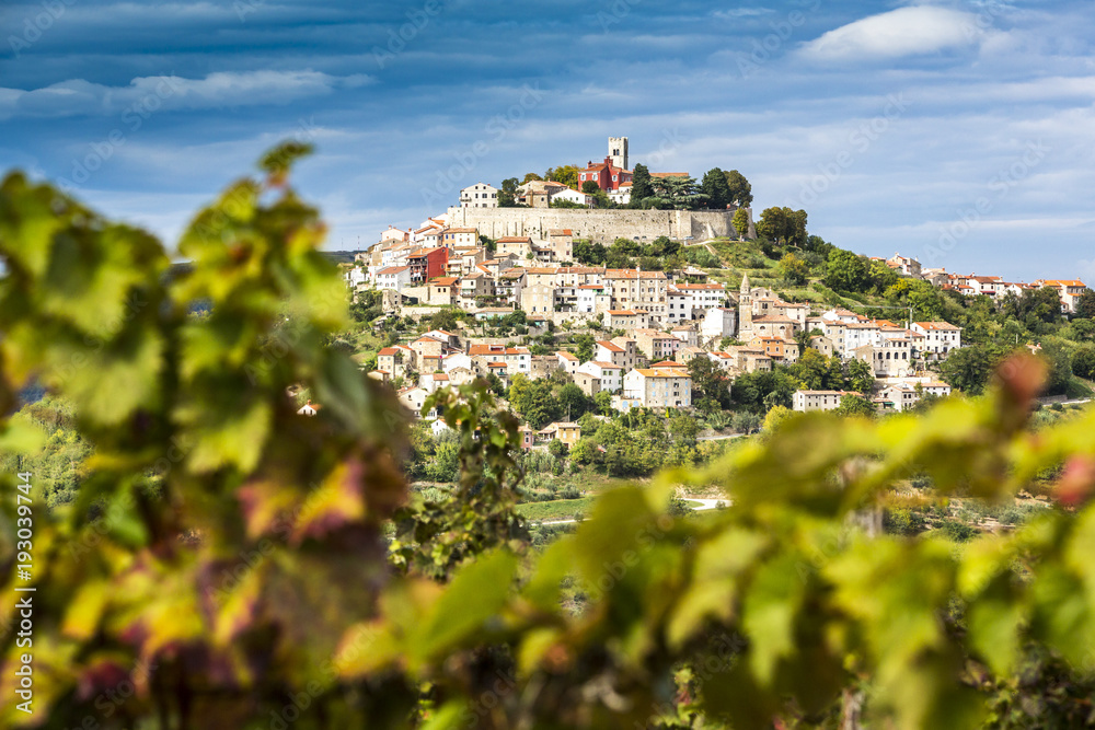 Fototapeta premium Kroatien, Istrien, Blick durch die Weinberge nach Motovun