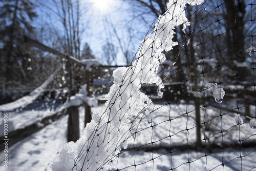 snow on fence mesh
