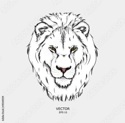 Fototapeta Naklejka Na Ścianę i Meble -  Portrait of a lion. Can be used for printing on T-shirts, flyers and stuff. 
