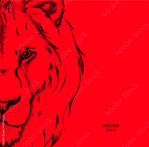 Portrait of a lion. Can be used for printing on T-shirts, flyers and stuff. 