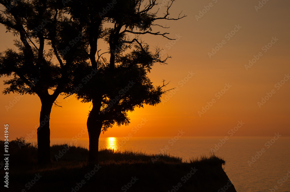 The sun rises behind two tree’s silhouette. The sun rises behind two tree’s silhouette.
