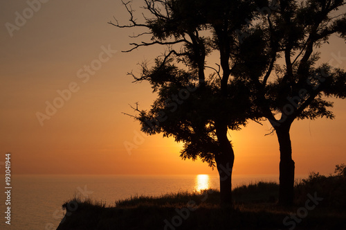 The sun rises behind two tree’s silhouette. © Vladyslav Siaber