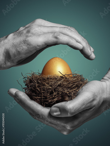 Female hands carefully hold the nest with a golden egg. The concept of saving and increasing savings. photo