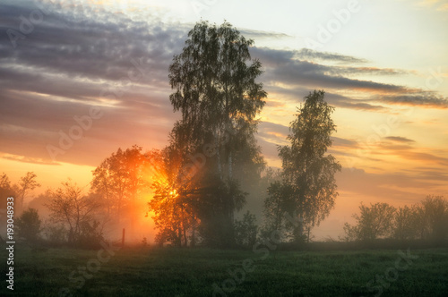 spring morning. a misty dawn in a picturesque meadow. Sun rays