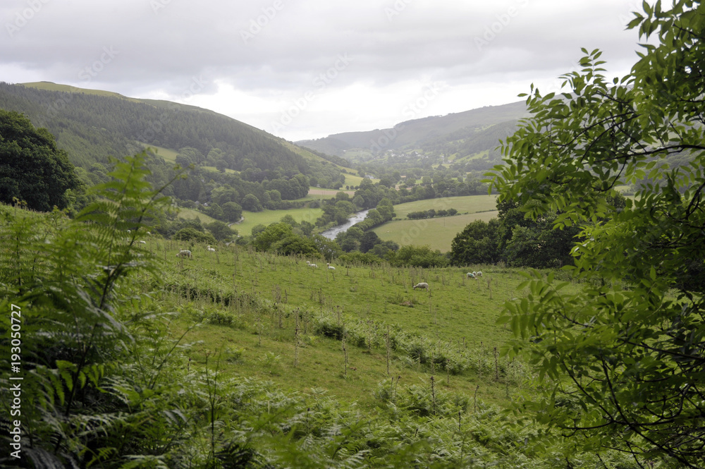 Carrog