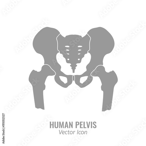 Human Pelvis Icon