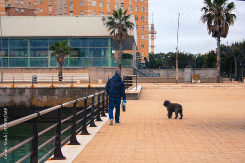 a man walks with a dog on the city embankment