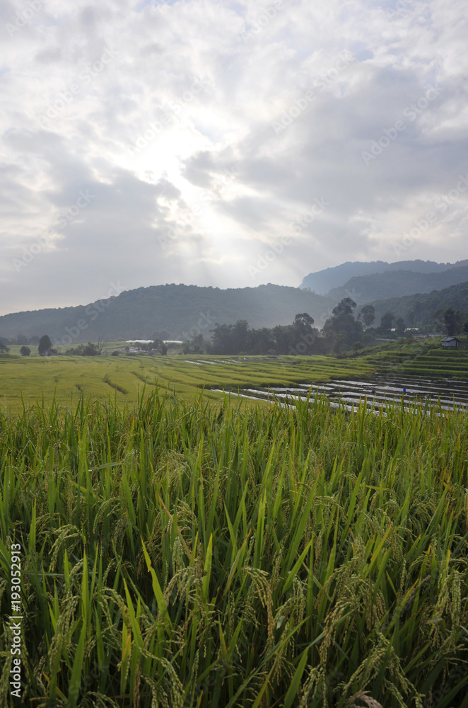 Doi Inthanon