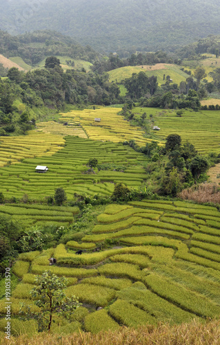 Doi Inthanon