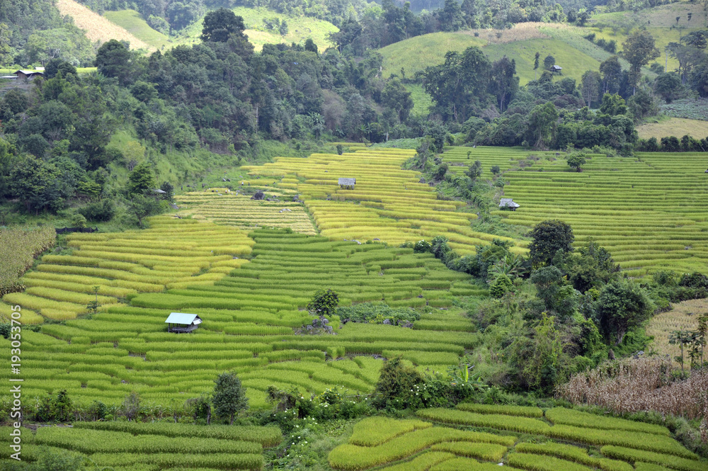 Doi Inthanon