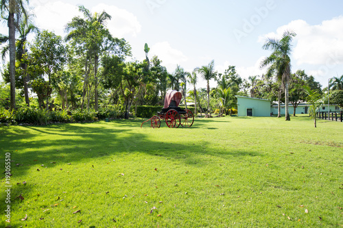 Old red horse carriage on a green meadow