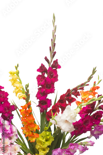Fototapeta Naklejka Na Ścianę i Meble -  Beautiful bouquet of multicolored gladiolus flowers isolated on white background. Yellow, red, orange, green. Flat lay, top view