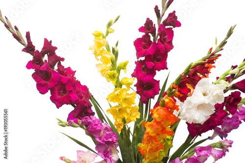 Fototapeta Naklejka Na Ścianę i Meble -  Beautiful bouquet of multicolored gladiolus flowers isolated on white background. Yellow, red, orange, green. Flat lay, top view