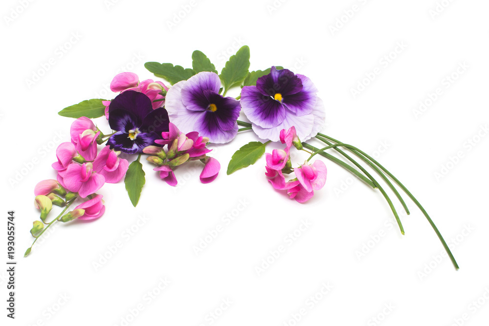 Flowers of pink peas and blue pansy wreath isolated on white background. Flat lay, top view Flowers of pink peas and blue pansy wreath isolated on white background. Flat lay, top view