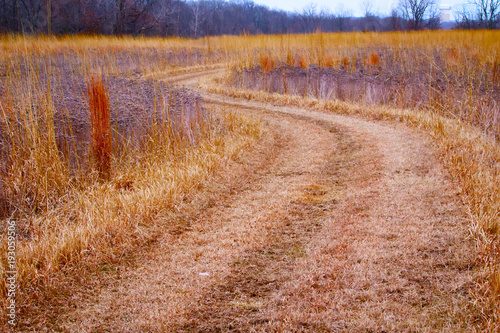 Prairie Paths