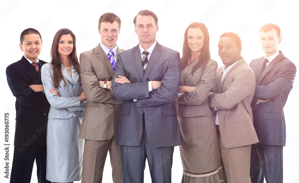businessman and professional multinational business team businessman and professional multinational business team