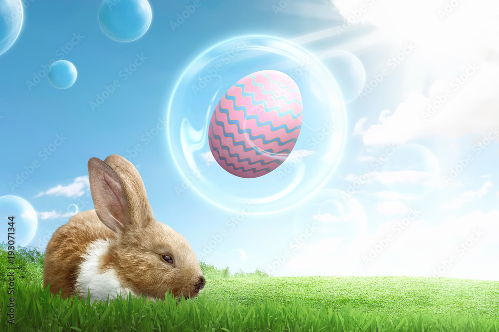 Fototapeta premium Funny bunny with eggs on flying bubbles
