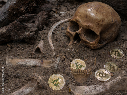 Still life of archaeological excavation with skull  bones and golden bitcoin found in the ground of ancient grave