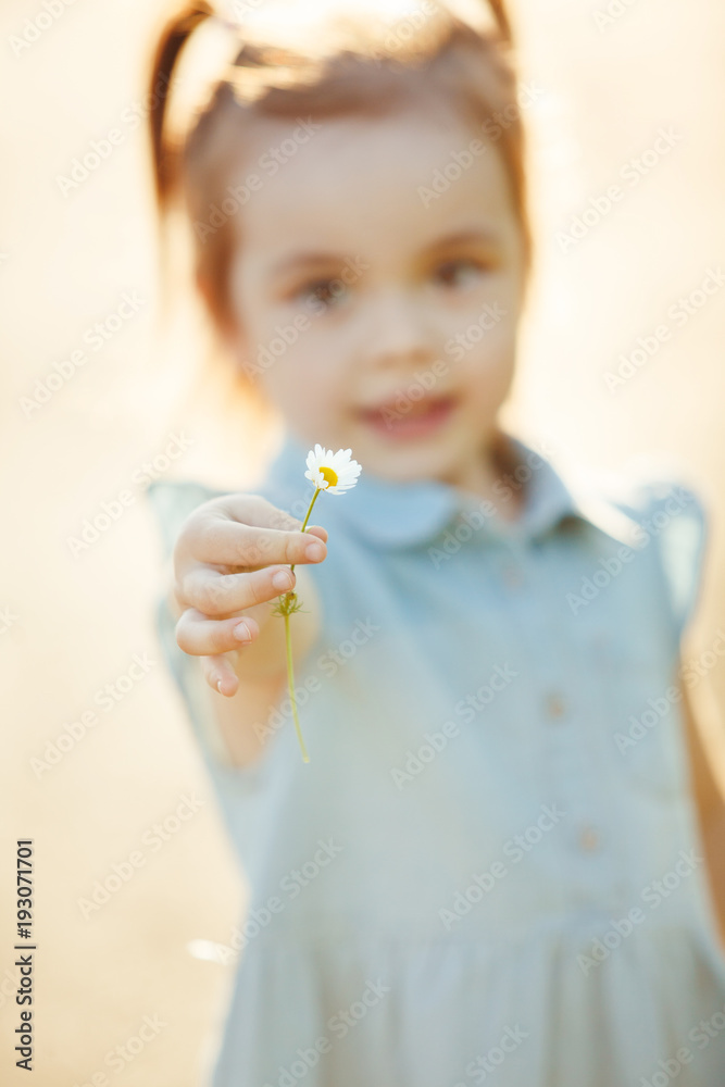 little girl stretches a Daisy in her hand. the child collects flowers. children's Allergy to pollen. little girl stretches a Daisy in her hand. the child collects flowers. children's Allergy to pollen.