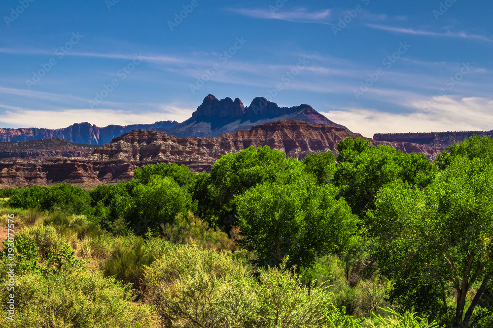 Obraz premium Sunset in Zion National Park