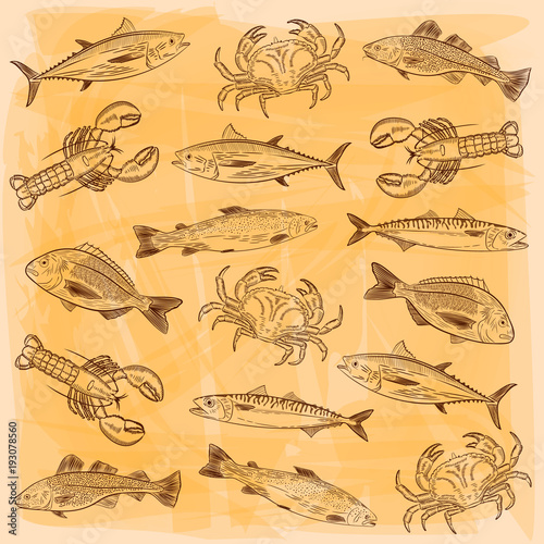 Wallpaper Mural A set of popular sea fish, crabs, lobsters. Salmon, tuna, cod, mackerel, dorado, lobster. Sketch pattern on yellow background, vector illustration Torontodigital.ca