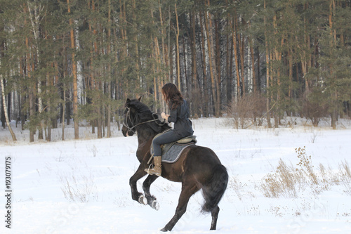 Young woman riding on black horse in snowy countryside
