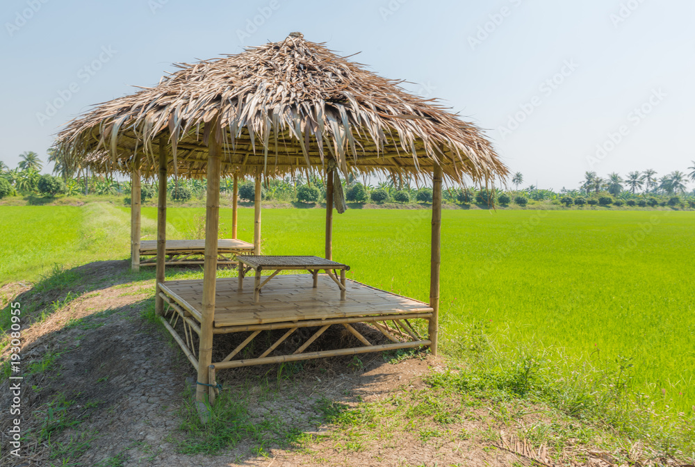 The wooden huts in a rice green in the field a vast area The wooden huts in a rice green in the field a vast area