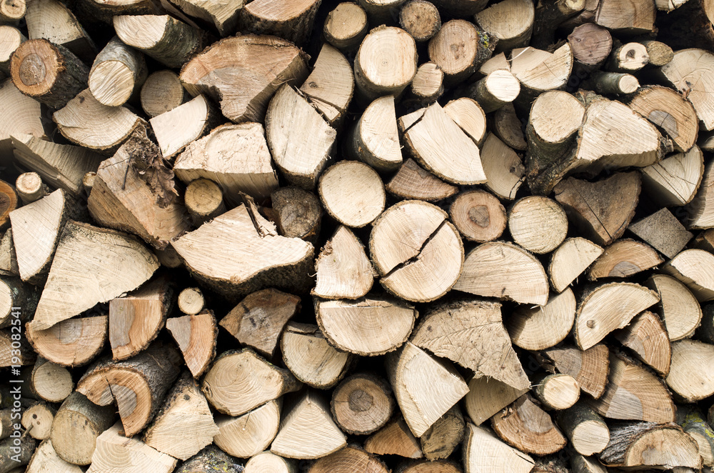 Bunch of freshly cut firewood Bunch of freshly cut firewood