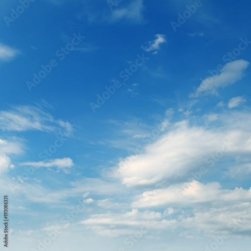 Light cumulus cloud in blue sky.