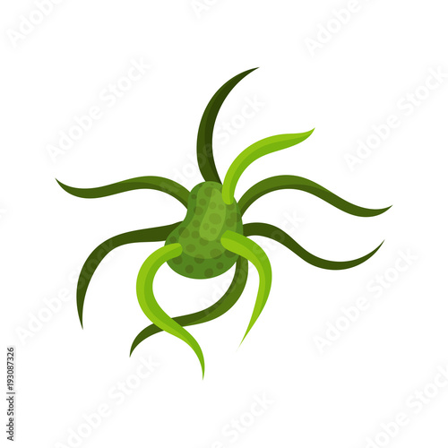 Fotografie Green virus or bacteria