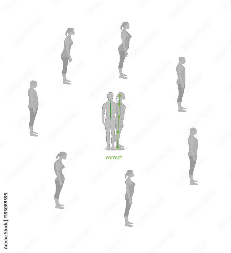 Correct alignment of human body in standing posture for good personality and healthy of spine and bone. Health care and medical illustration Correct alignment of human body in standing posture for good personality and healthy of spine and bone. Health care and medical illustration