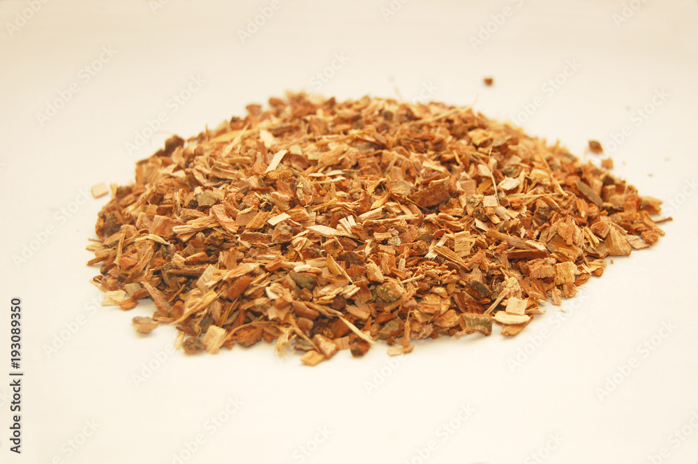 bark of oak bark of oak