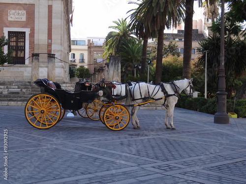 carriage seville