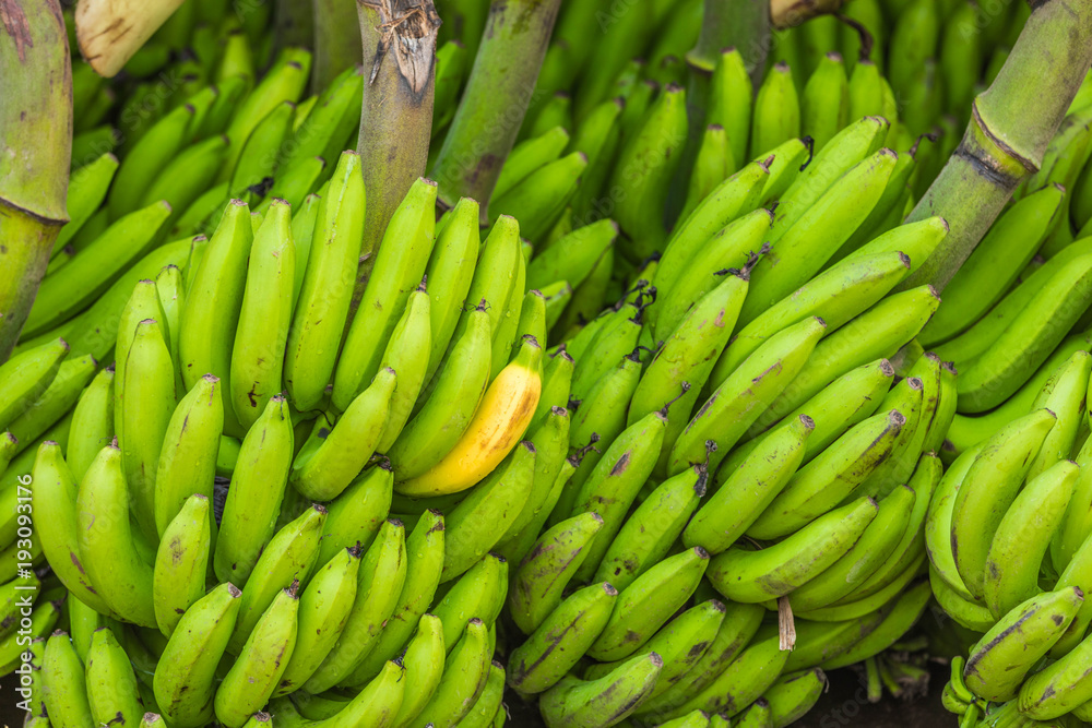 Green banana fruit