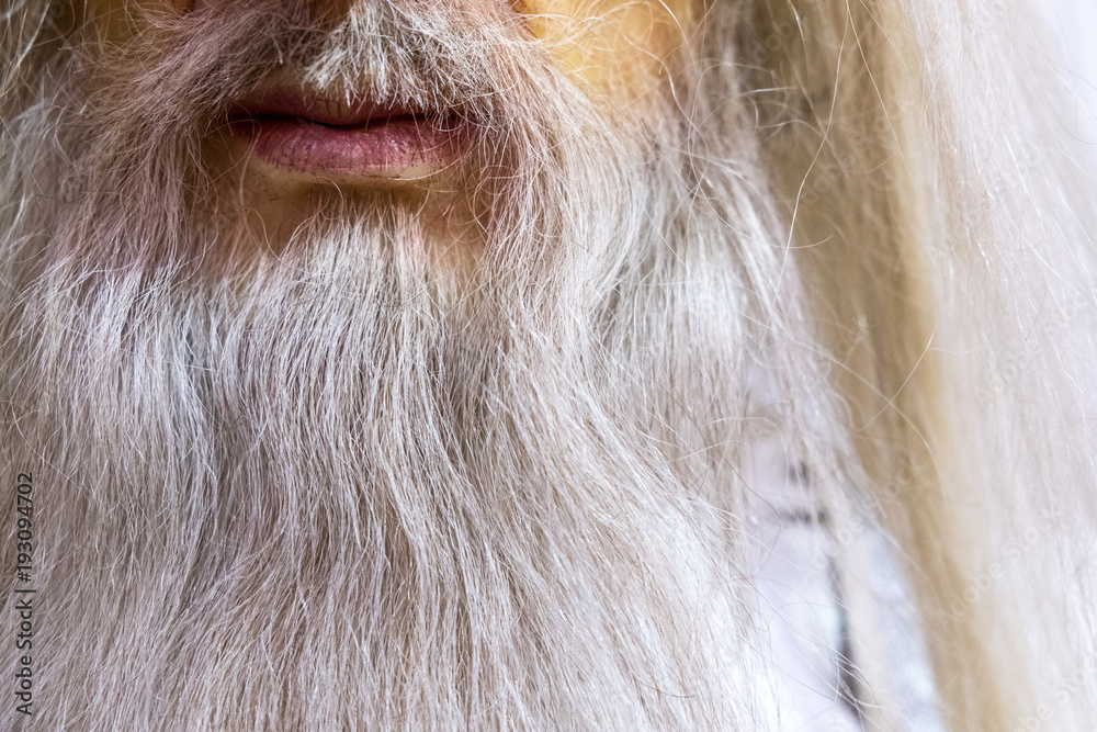 white long beard of a wizard, wax figure near, mouth and beard white long beard of a wizard, wax figure near, mouth and beard