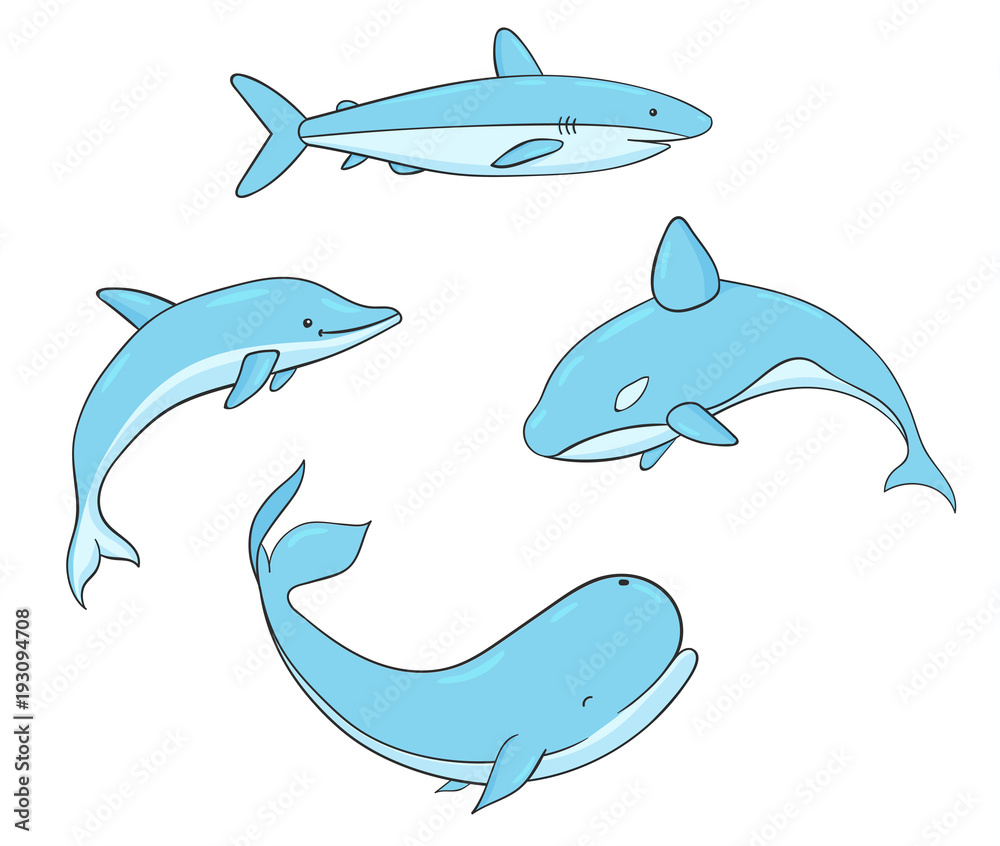 Fototapeta premium Set of vector underwater life with whale, shark, narwhal and dolphin. Sea creatures isolated on the white background.