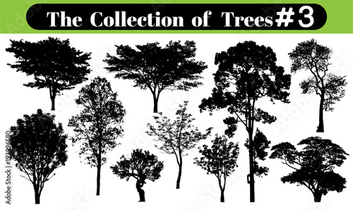 tree silhouettes on white background. Vector illustration.