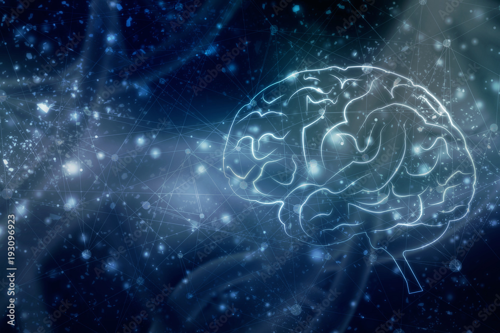 Human brain 2d illustration Human brain 2d illustration