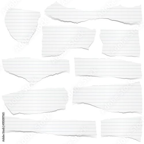 collection scrap of paper