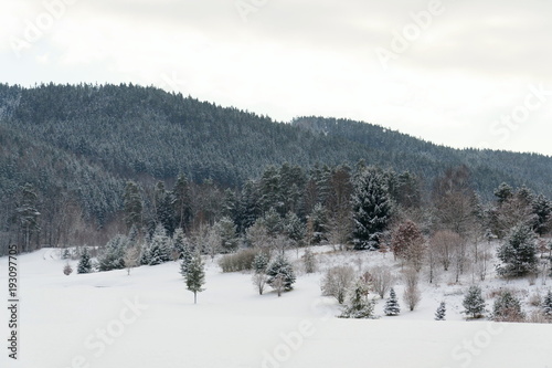 Snow on golf course in winter, forest background, copy space
